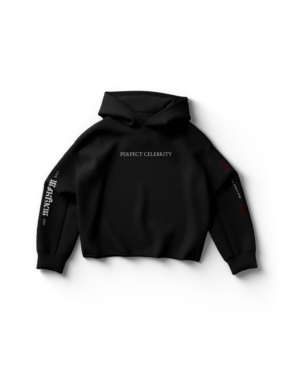Perfect Celebrity Black Hoodie Lady Gaga Official Limited Merch