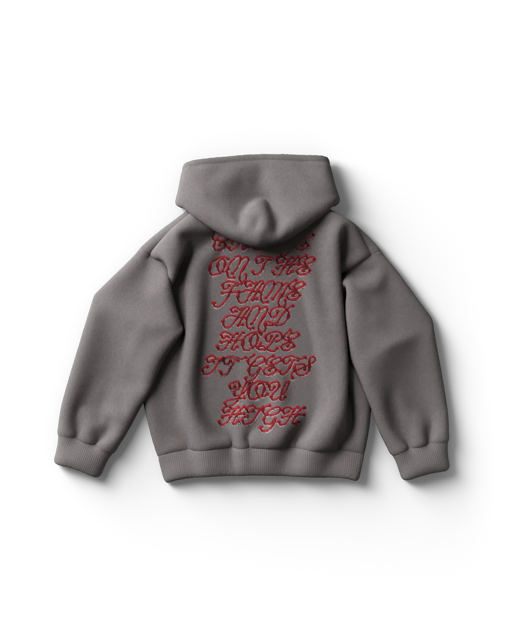 Perfect Celebrity Gray Hoodie Lady Gaga Official Limited Merch