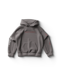 Perfect Celebrity Gray Hoodie Lady Gaga Official Limited Merch