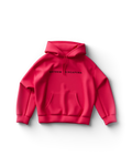 Pink Singapore Hoodie Lady Gaga Official Limited Merch